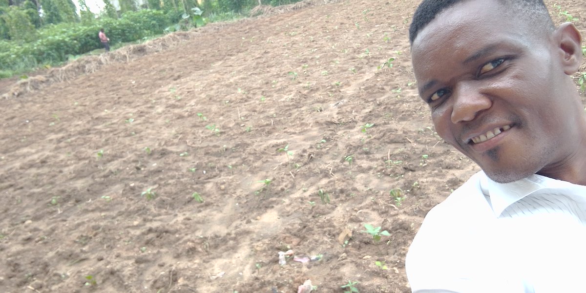 ukemeanwan's tweet image. Hello friends, am proud to have you as my friend. connect me with any agricultural production opportunity