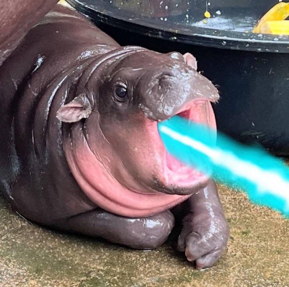 When you buy food-to-go but they still flip around that damn iPad and ask for a tip.