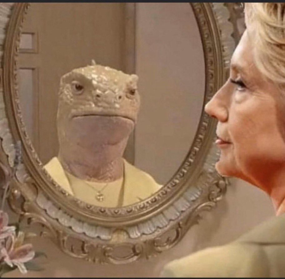 TheFlatEartherr's tweet photo. Are you ready for this Truth? 🦎👀 https://t.co/jJC03aRsjH