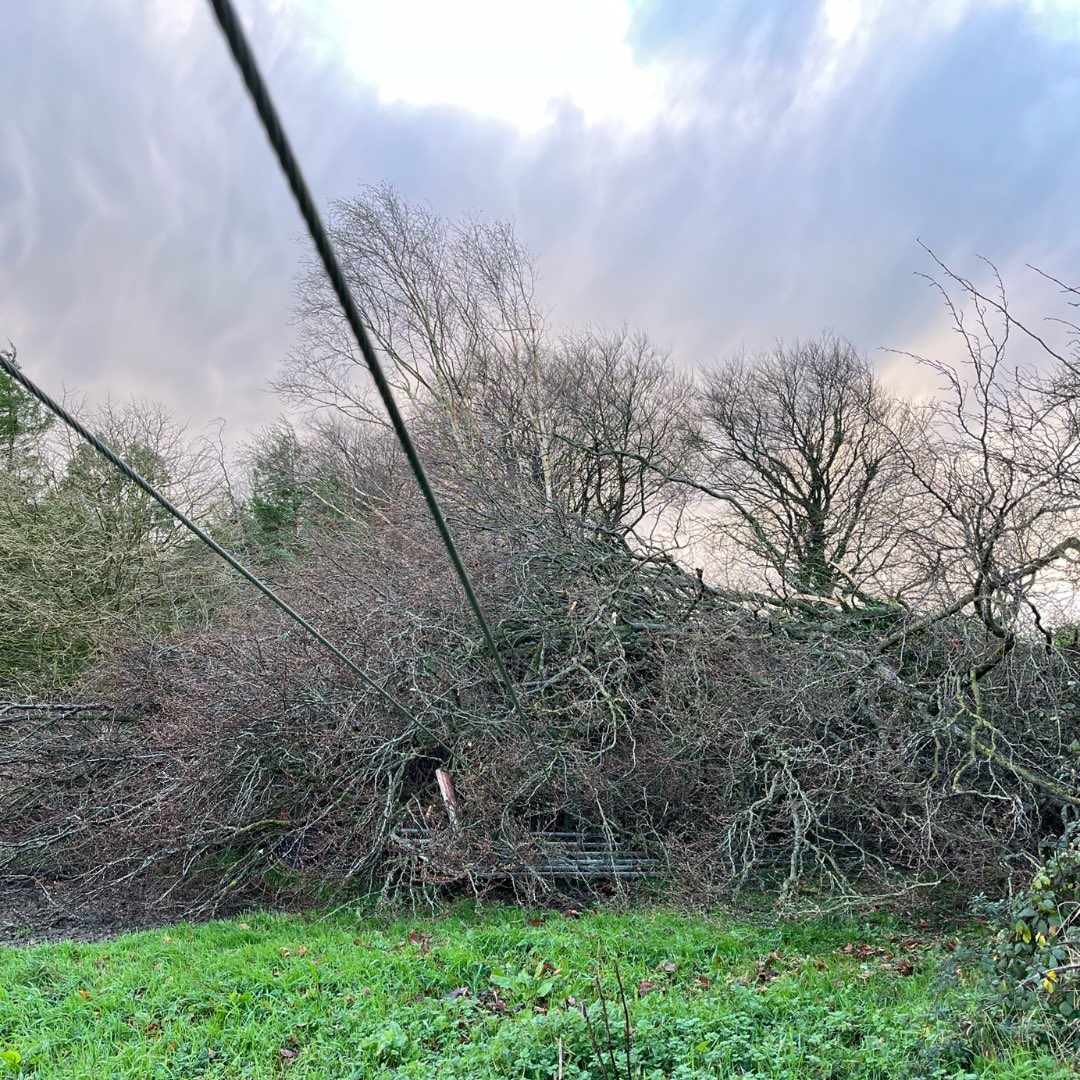 ESBNetworks's tweet photo. #StormDarragh Update: ESB Networks teams restore electricity supply to 220,000 customers. Thank you for your patience. 
Press release: https://t.co/87rRUXSV45 https://t.co/H0IOzGhcqq