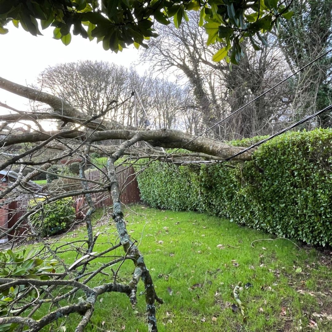 ESBNetworks's tweet photo. #StormDarragh Update: ESB Networks teams restore electricity supply to 220,000 customers. Thank you for your patience. 
Press release: https://t.co/87rRUXSV45 https://t.co/H0IOzGhcqq