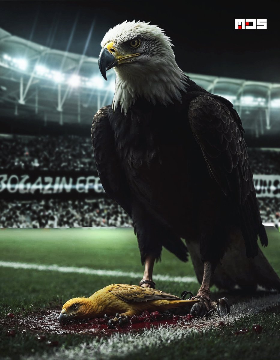 scoutingBJK1903's tweet photo. YAPI ALGI DEDİNİZ AHA SİZE YAPII 
#BJKvFB https://t.co/jrKodHFlVD