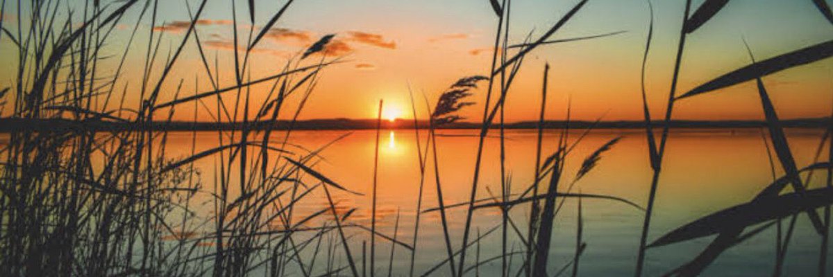 Hani diyorum ya ben kimsesizim 
Aslında ben sadece sensizim…