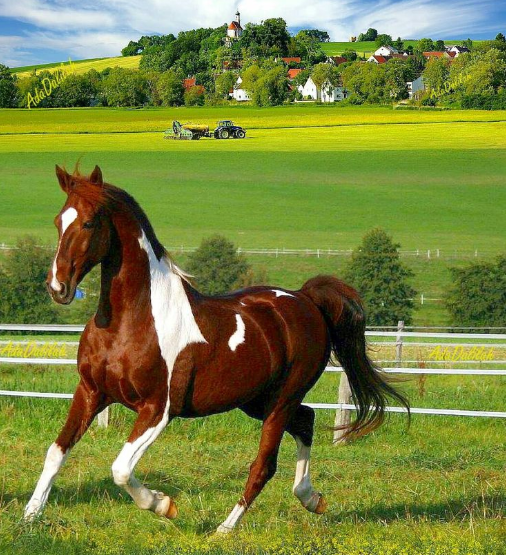 LavorattoIvonne's tweet photo. #Mozzafiato💜#Dylan_ツⓂ️#Monufriends
🐎@mgor2021 @osyarenistylish @Mrk4786
🐎@TlayAnl1903 @LavorattoIvonne @osyastar777
🐎@otrogoga60 @Tlayanl2 @LauraMi25356713
🐎@mrk2786 @Lavorato_Ivone @suzu_hime33
🐎@_1rha @mohamedaln70246 @3dxRomero3XO
🐎@Fabrizio_Cobo @JoeJohnRomero @RPrima789
🐎@phoolchandindia @papiko7890 @SumanDial
🐎@asas118 @ToshiM60707193 @MastermindProo 
🐎@shkr_khan @PackersadMovers @SKB7014 
🐎@Kings8930633360 @rita01059367 @ik_553
🐎@Sc2017W @GRAHAM15583 @MahdiAlqubli
🐎@SumanDial @WEPR19 @Kings8930633360
🐎@Sdf27242 @Aly9a @_1rha @TonyIannitelli
🐎@Welling260898 @a9193936 @Araujocafa
🐎@msennna @HectoritoRivera @cpgarcieral