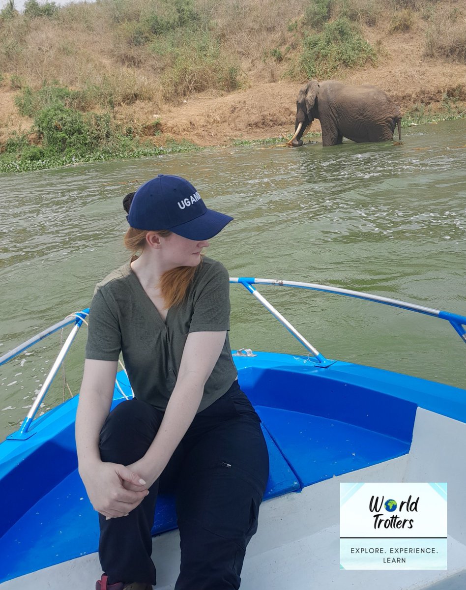 NatashaEpenu's tweet photo. Have you explored the Kazinga Channel? This scenic channel that connects Lake Edward to Lake George is one of the most visited features and favourites for our guests in Queen Elizabeth National Park.....🇺🇬🇺🇬🇺🇬 https://t.co/3fTRSMooqA