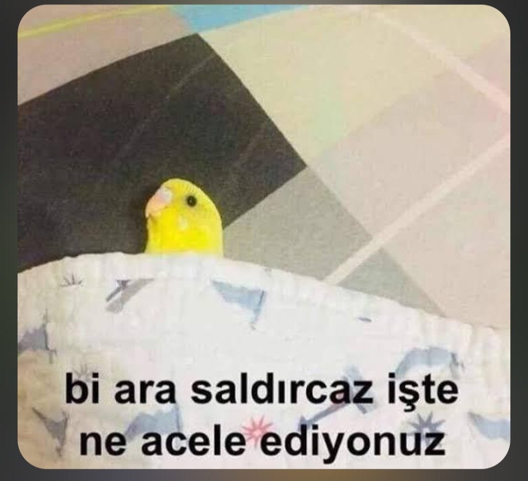 furkanngulsen's tweet photo. Lan ölcem ajdjakkdoaodoslsl https://t.co/4MyYfXkvWd