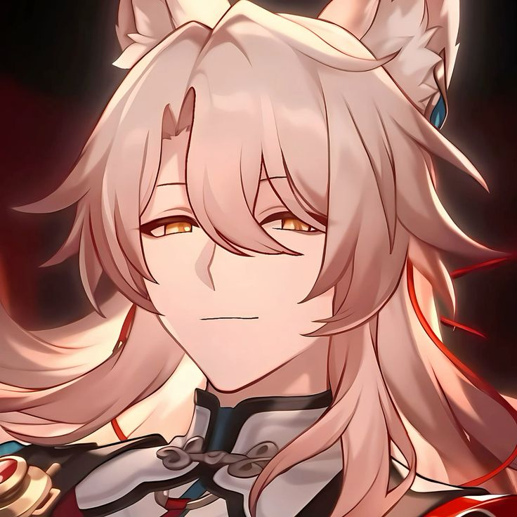 Daily Hsr Pics ꨄ tweet media