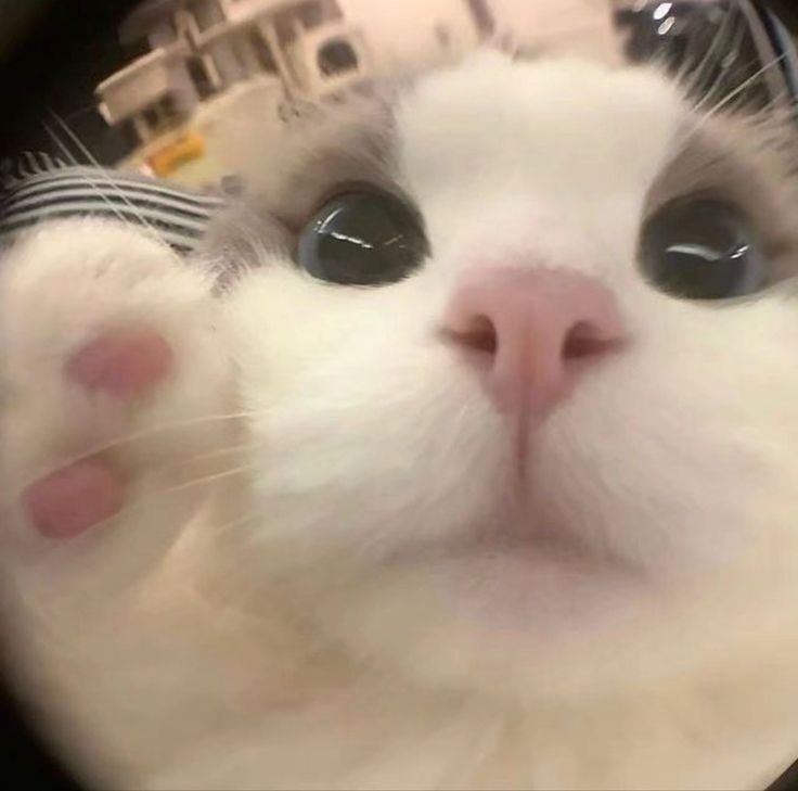 𓂆 𝓁𝓊𝓁𝓊 🧸 tweet media