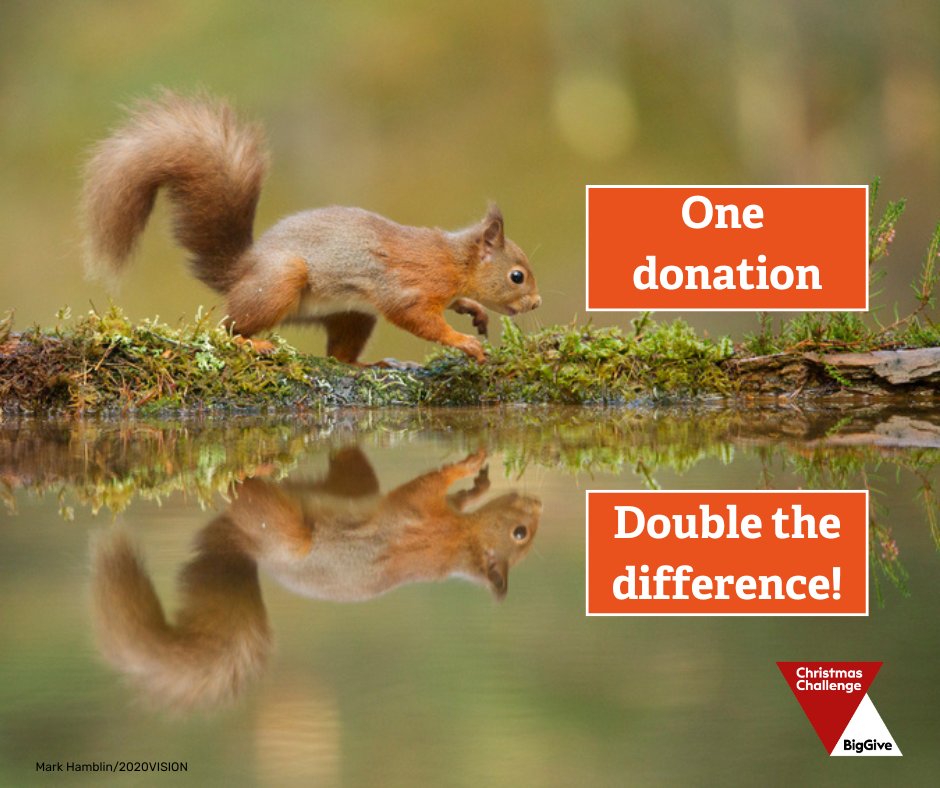 One donation, double the difference ❤️ Still wondering how The Big Give Christmas Challenge works? 

If you donate £5, we get £10 ⭐
If you donate £50, we get £100 ✨
If you donate £500, we get £1000! 🌟

Don't delay, help make double the impact today! ow.ly/xHkX50UmzQH