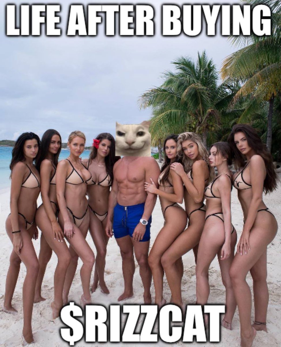 MurpMini's tweet image. #RIZZCAT about to make it's move