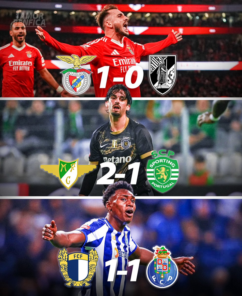 Está tudo a voltar ao normal ! 😍🦅
