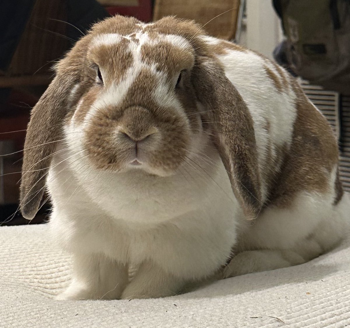 MyAndroidLover's tweet image. We are so back