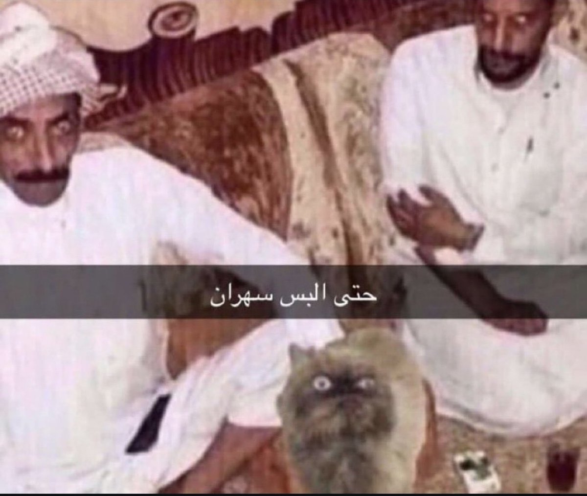 Osa963's tweet image. كل الوطن العربي الان