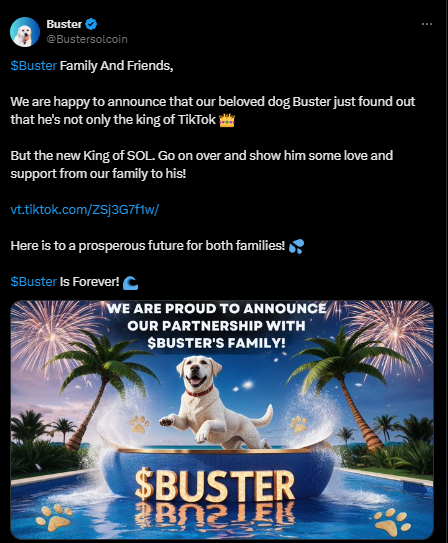 <a href="/lynk0x/">lynk</a> We just partnered up with the TikTok Family $Buster

Take a peek :)

x.com/Bustersolcoin/…