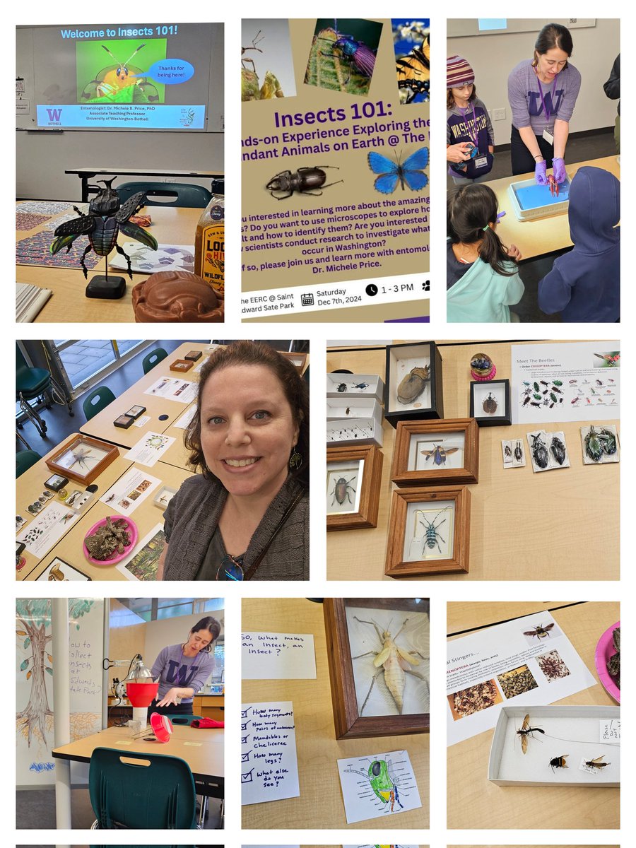 Doing some additional research for our spring 2nd grade integrated unit focused on insects, life cycles, and pollination!

Insects 101 workshop at UW Bothell Environmental Education Research Center at St Edward Statr Park