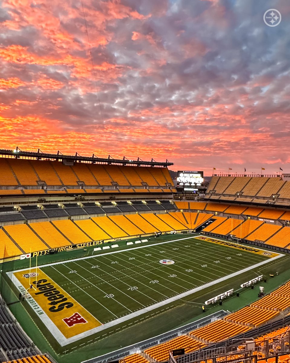 Howard Betta tweet media