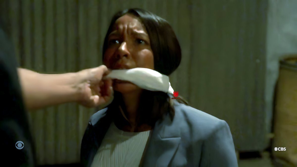 Elizabeth Frances - NCIS S22E01 (2)