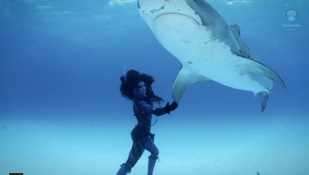 Wrdlbrmpfd_Wrdl's tweet photo. #Art #Apnoe #Freediving
Nein, das ist keine AI.
https://t.co/optkJpyBqv https://t.co/vkM6pDdWrJ
