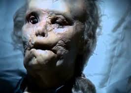 Muhammad221238's tweet photo. @DonaldTNews Silence of the lambs https://t.co/A15Q3Rvz4r