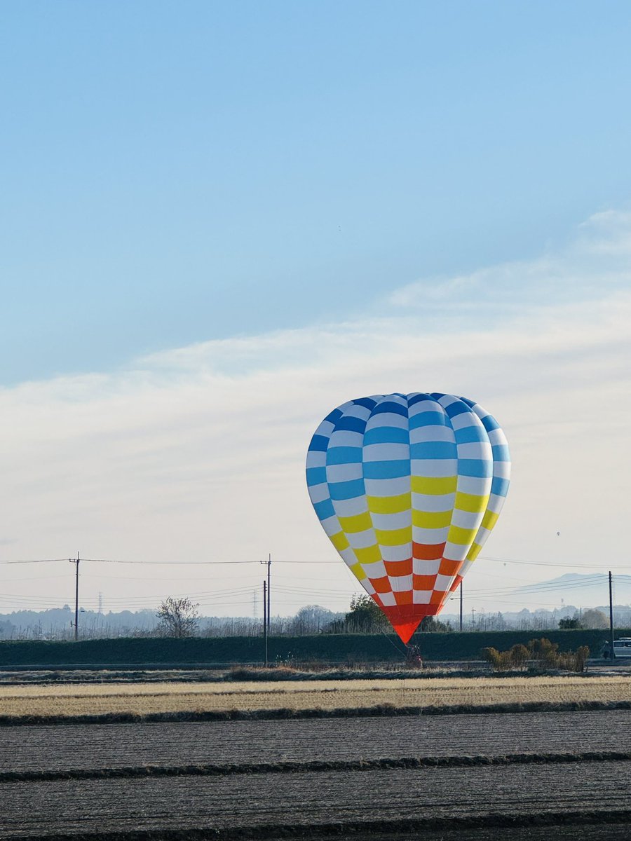 渡良瀬遊水地で気球が上がってました。