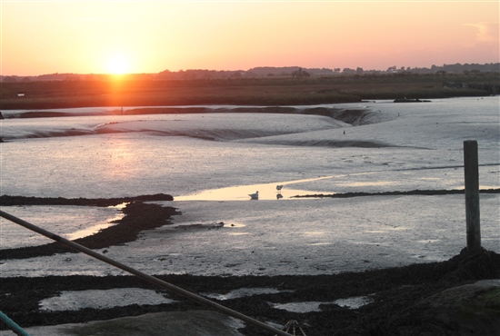 CommunityNature's tweet image. @NBNTrust We really like this new blog on your website: nbn.org.uk/blogs/nbn-blog…
So many groups are getting into collaborative map making, so this is a very timely publication. Thank you for sharing!
#collaborativemapmaking #RiverDeben
