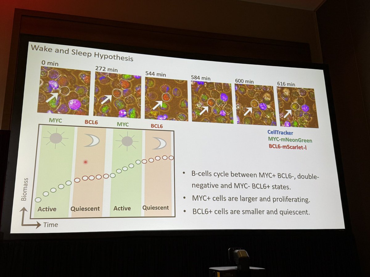 Yale Cancer Center tweet media