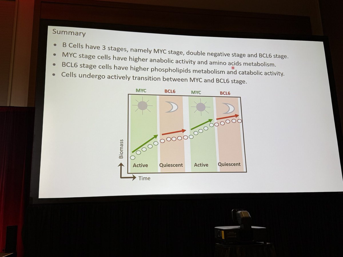 Yale Cancer Center (@yalecancer) on Twitter photo Zhangliang Cheng <a href="/MuschenLab/">Müschen Lab</a> presents on the 3 stages of B Cells and oscillations between MYC and BCL6 dependent states in B Cell #lymphoma. #ASH24 <a href="/YaleMed/">Yale School of Medicine</a> <a href="/SmilowCancer/">Smilow Cancer Hospital</a> Zhangliang Cheng <a href="/MuschenLab/">Müschen Lab</a> presents on the 3 stages of B Cells and oscillations between MYC and BCL6 dependent states in B Cell #lymphoma. #ASH24 <a href="/YaleMed/">Yale School of Medicine</a> <a href="/SmilowCancer/">Smilow Cancer Hospital</a>