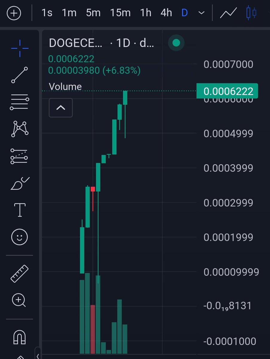 XDOGE CEO tweet media