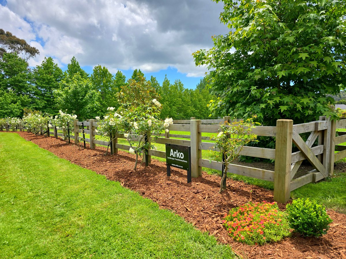 jayvanlent's tweet photo. Mulching our gardens ready for summer ☀️ #gardens https://t.co/7Fz9fyCJjs