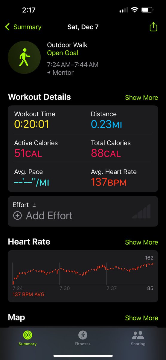 On day 7 of lunging 20 mins with 30lbs and 100 push ups every day for December. 12 other people have joined. The accountability is there and the work is being done.
