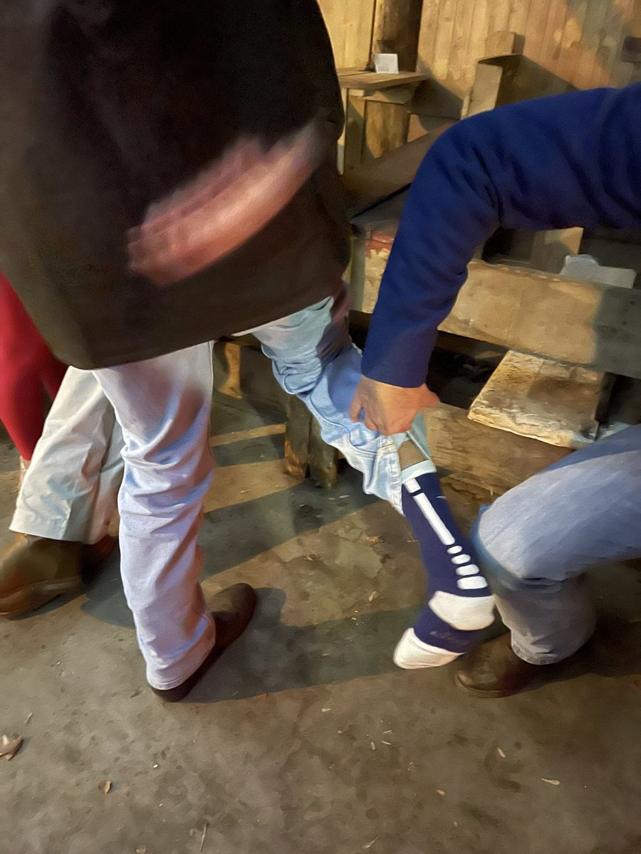 goodguyonblock's tweet photo. Elite socks? You serious? This guy is why America is about to hit the golden age https://t.co/AehBmgdyhh