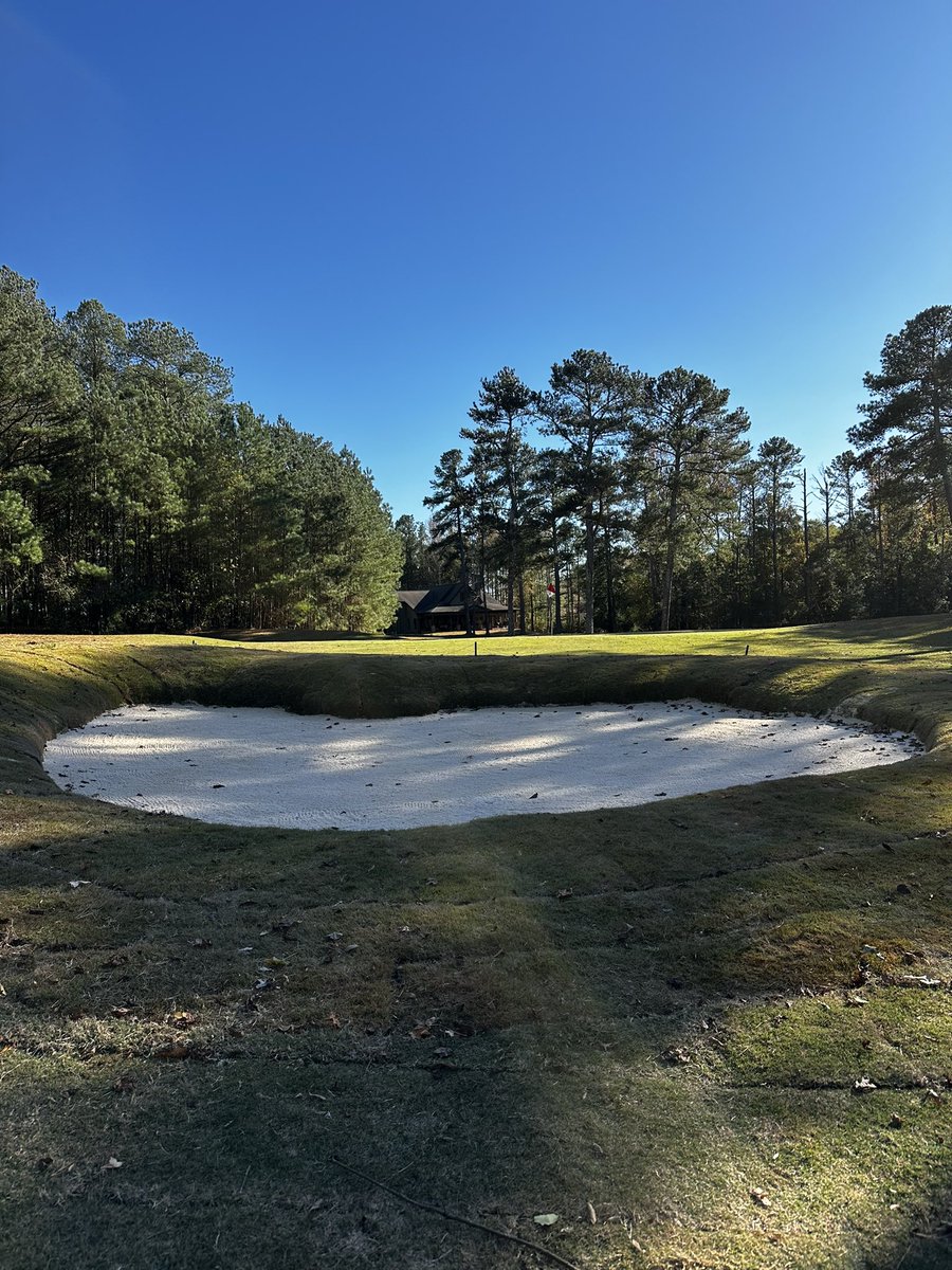 Georgia Riley tweet media