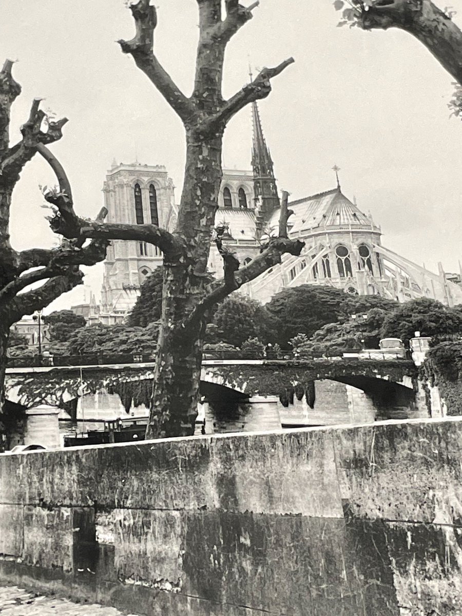 In honor of the reopening of Notre-Dame de Paris, a glimpse of different views of the cathedral throughout the centuries - c. 1650, c. 1850, the early 1900s, and 1960s - from the Roxane Debuisson Collection <a href="/StanfordLibs/">Stanford University Libraries</a> <a href="/sussman72/">Sarah Sussman</a> <a href="/notredameparis/">Cathédrale Notre-Dame de Paris</a> #NotreDameDeParis
