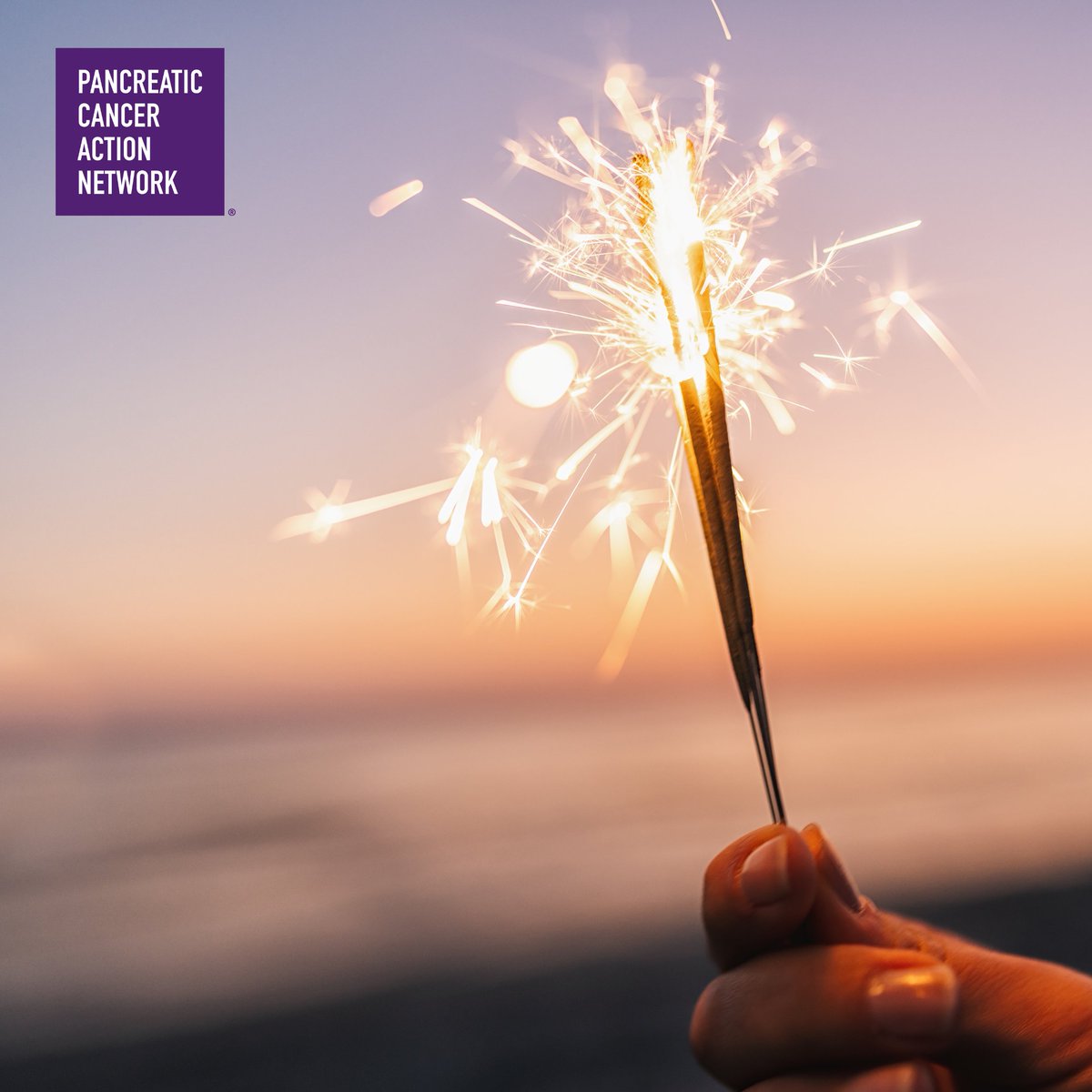 PanCANTampaBay's tweet photo. Wishing the PANCAN Tampa Bay Community a Happy New Year! 🌟💜🎆 May 2025 bring joy, peace, and hope as we continue our shared mission to end pancreatic cancer. Together, we make a difference! https://t.co/Xz5KfE19dj