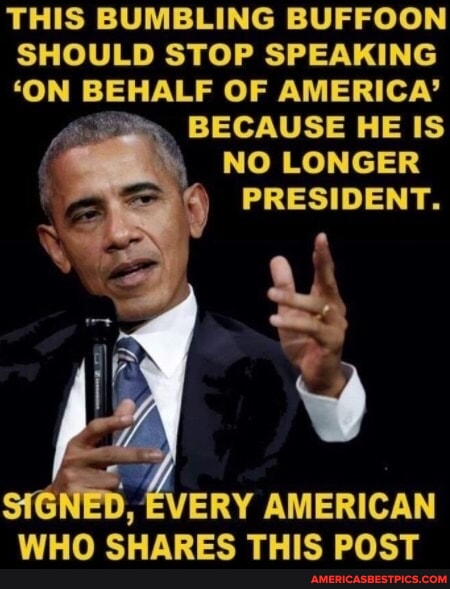 TSFOX1951's tweet image. #bumbling #buffoon #should 
americasbestpics.com/picture/9L5qgi…
#AmericasBestPicsAndVideos