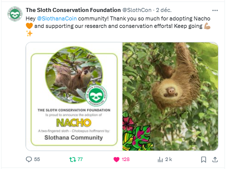 begingu's tweet photo. @Regrets10x We have a community, an army, Nacho, Alan Slothman, and Paul the honeypot. #420x #CommunityFirst #geniusdevs $SLOTH FTW @SlothanaCoin #redditPower โ๏ธ๐ฆฅ๐๐ https://t.co/AsFbCfO6bh