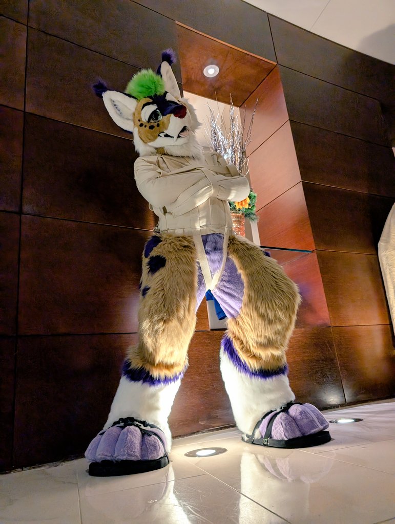 hrrrmph.... didn't take long to get put in my place 😤

📸 <a href="/dewdroprawr/">@dewdrop.dog {💦} @ 🟦☁️</a>