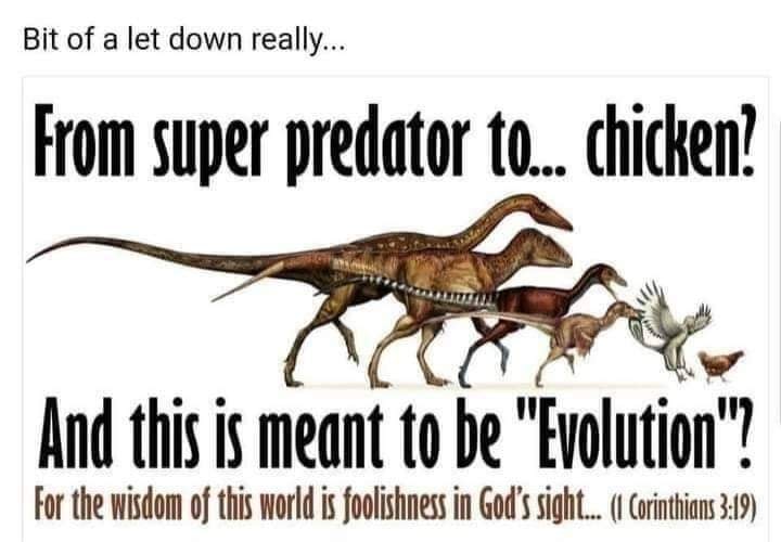 Not Evolution tweet media