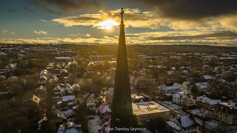 Ted Bird 🇮🇱 tweet media