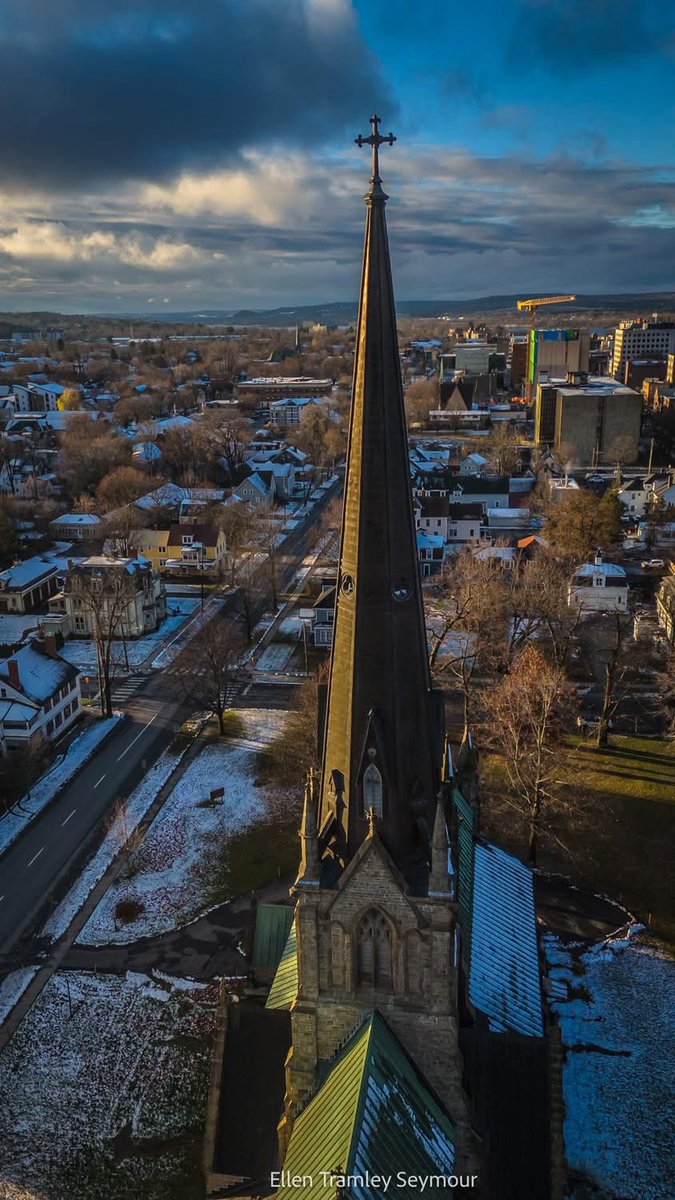 Ted Bird 🇮🇱 tweet media