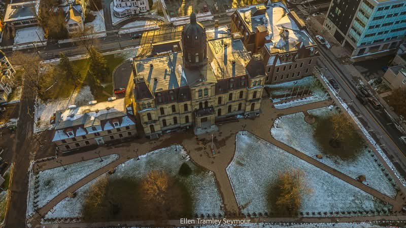 Ted Bird 🇮🇱 tweet media