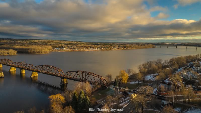 Ted Bird 🇮🇱 tweet media