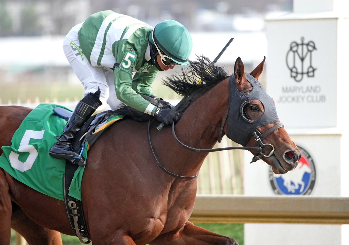 Nancy Mary, 2YO <a href="/MarylandTB/">Maryland Thoroughbred</a> filly by Wicked Strong, wins 1 1/16M maiden $37.5K <a href="/LaurelPark/">The Maryland Jockey Club, Inc.</a>  after a pair of thirds. Ridden by <a href="/Jockey_Jg27/">Jockey_jg27</a> for trainer <a href="/DilodovicoS/">Dilodovico_Racing_Stable</a> <a href="/LlcEquine/">N.R DiLodovico.ftm👻</a> and breeder/owner Lou Carrico. (Jeff Snyder 📷)