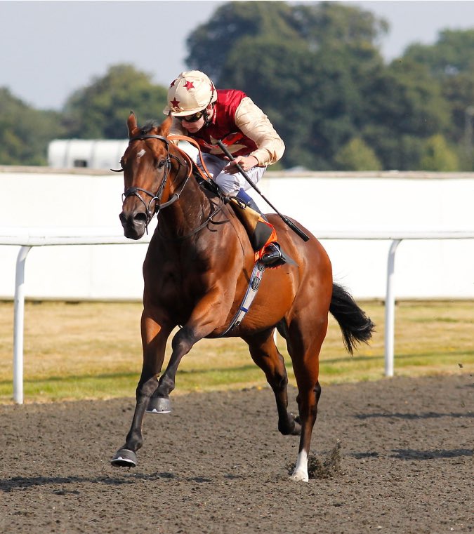 fitzgeraldalice's tweet image. Great excitement ahead of the @TreoEileRIR Christmas Show next Thursday!✨
Eight years after their two straight wins for  @AndrewBalding2, Champion Jockey @oismurphy reunites with our homebred Loaded (Kodiac ex Fikrah) as captain of team @triequestrian_1 competing for the coveted…