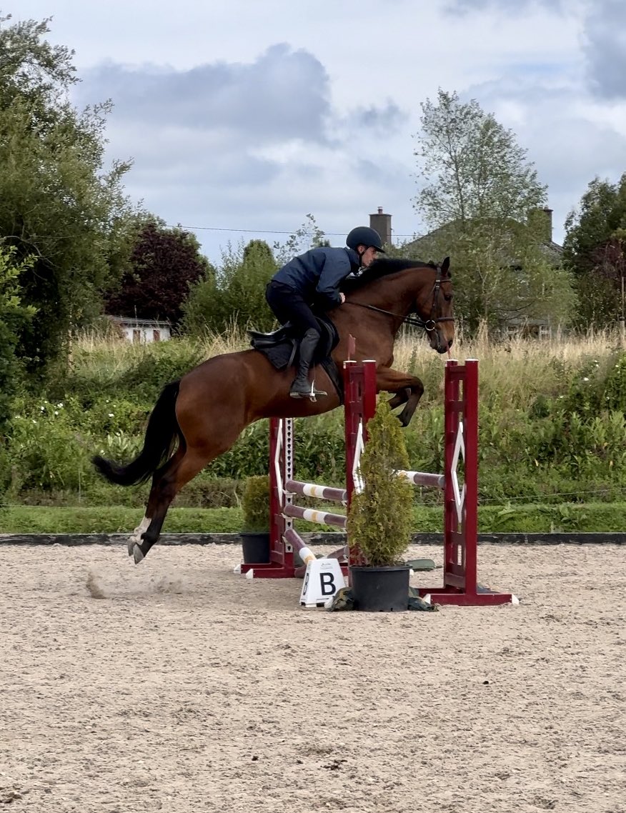 fitzgeraldalice's tweet image. Great excitement ahead of the @TreoEileRIR Christmas Show next Thursday!✨
Eight years after their two straight wins for  @AndrewBalding2, Champion Jockey @oismurphy reunites with our homebred Loaded (Kodiac ex Fikrah) as captain of team @triequestrian_1 competing for the coveted…