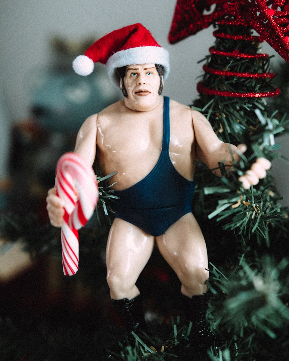 Carl Flath tweet media