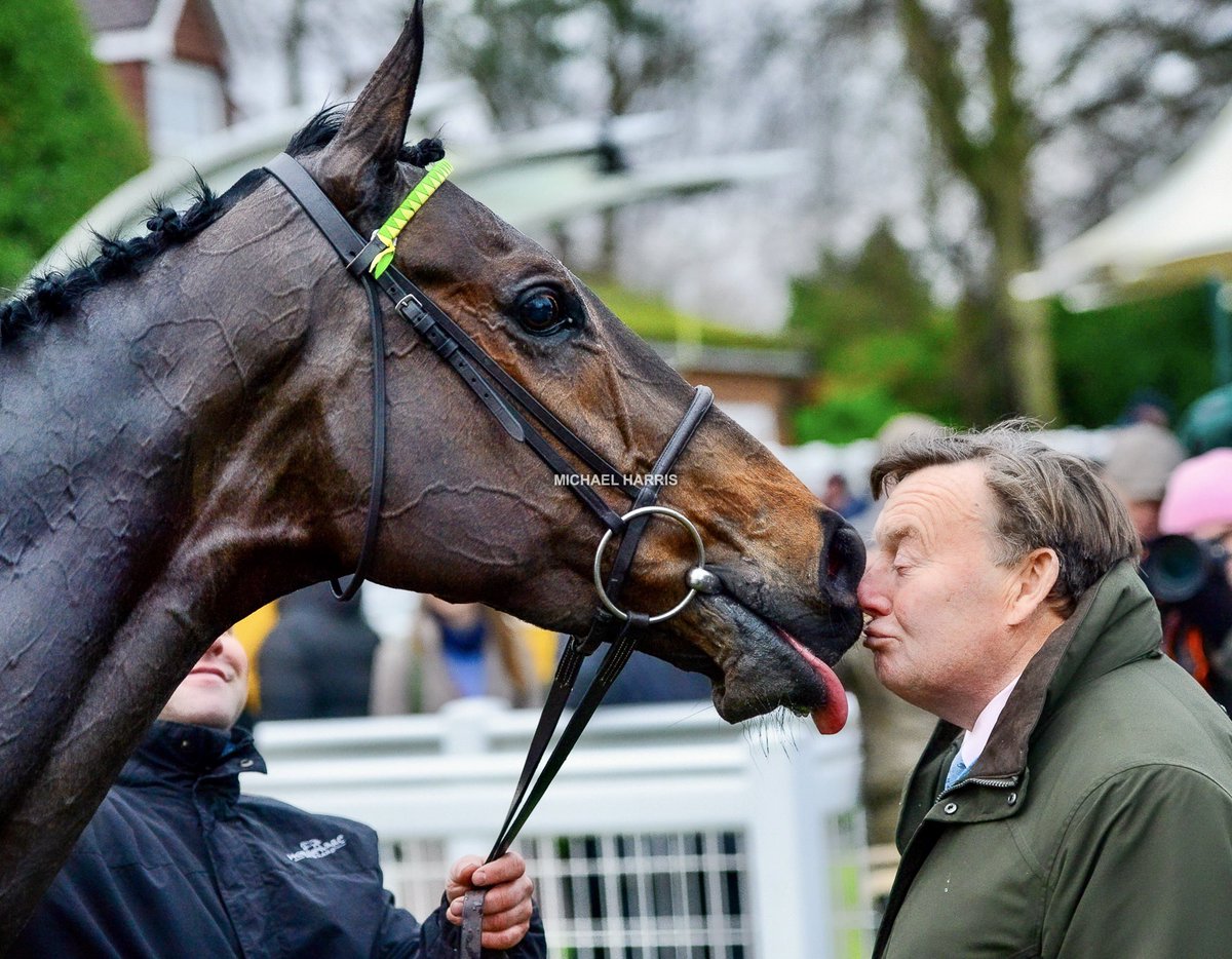mjyharris's tweet photo. How sweet. Nicky and Jonbon having a little kiss after the Tingle Creek. https://t.co/KbSn3AzDX9