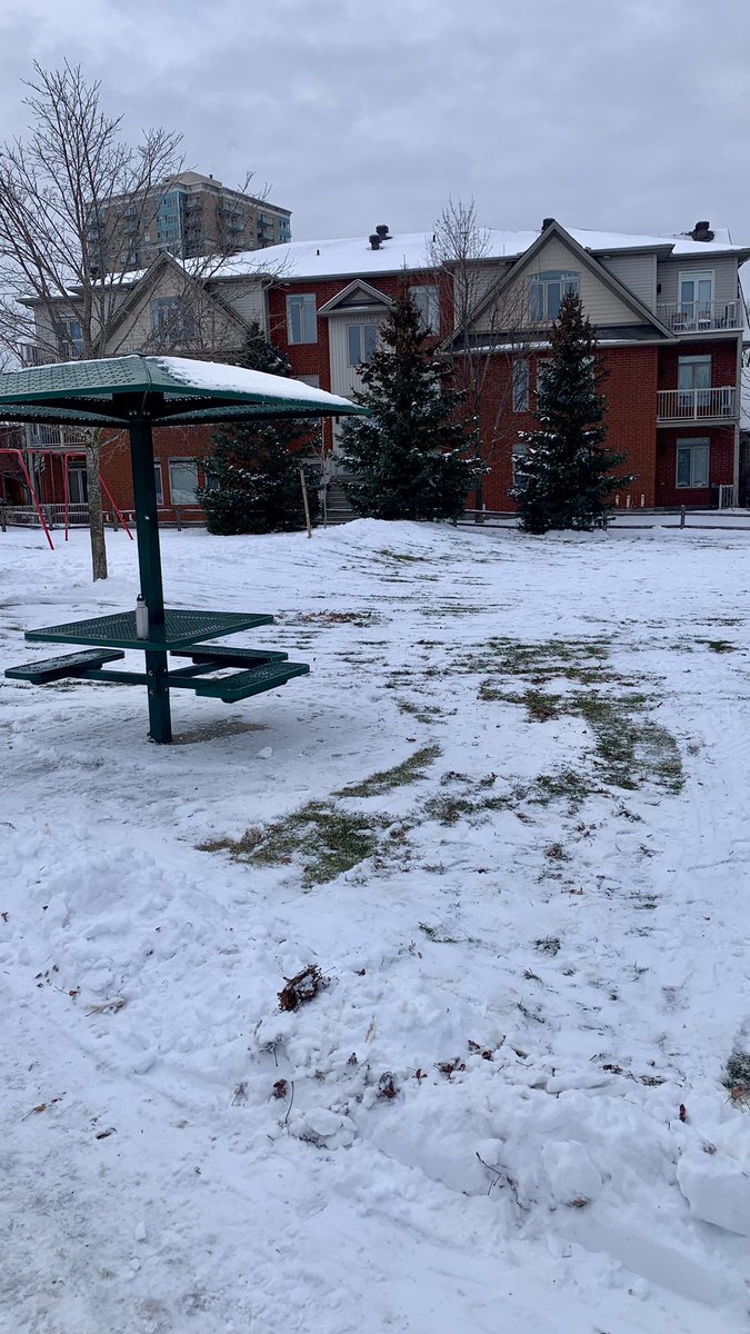 Guy_Theriault's tweet photo. It’s a beginning. Prepping the @St_AmbroisePark #ODR #PuddleRink in #Vanier C’est un début pour la patinoire du Parc St-Ambroise #MonOttawa #MyOttawa @PlanteSteph613 @_MarkSutcliffe https://t.co/q2mlpvhWHT