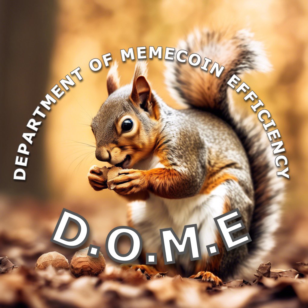 domeOnSol's tweet photo. The ticker is D.O.M.E 

5EhknZ8s22jy98zUpAd6hiX8mwzDvRfmqiZ6Fjnvpump https://t.co/VGdcbBXJ61