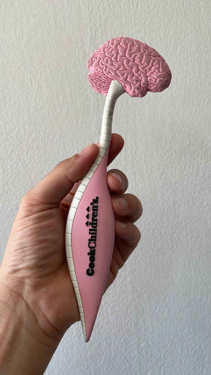 BabinskiNeuro's tweet photo. My fav Neuro-Swag from @CookChildrens is this brain hammer 👌🏽 https://t.co/JsVPPbZCOE